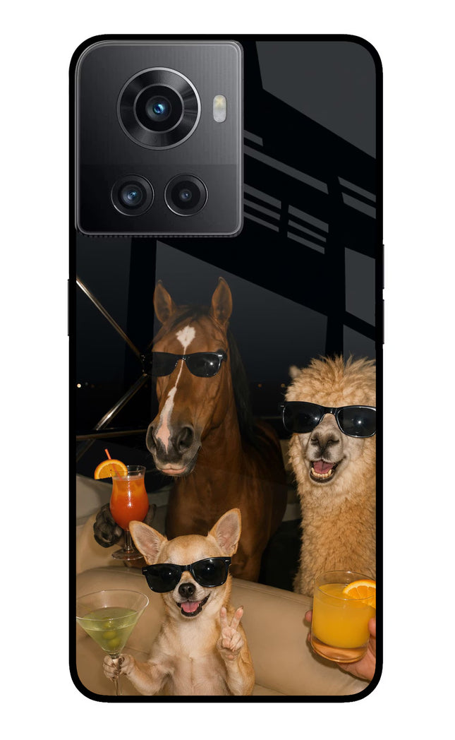 Party Squad OnePlus 10R 5G Glass Case