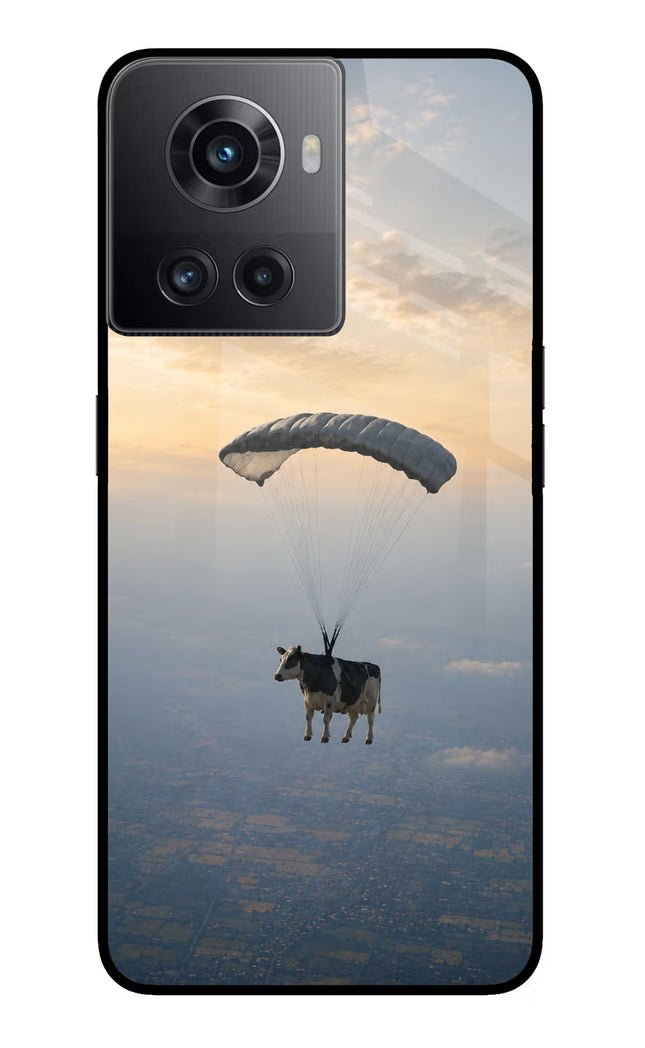 Skydiving Cow OnePlus 10R 5G Glass Case