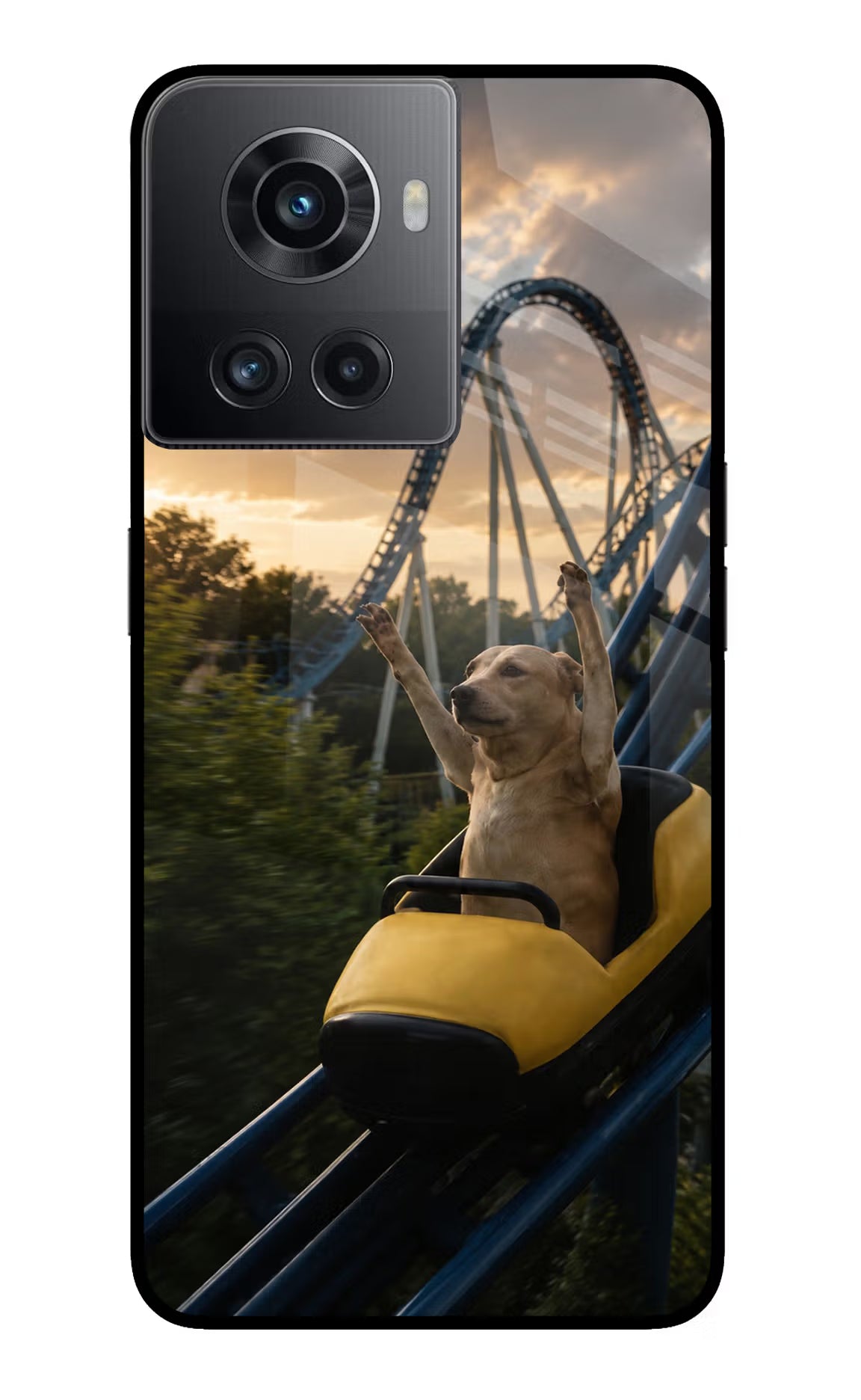 Rollercoaster Dog OnePlus 10R 5G Glass Case
