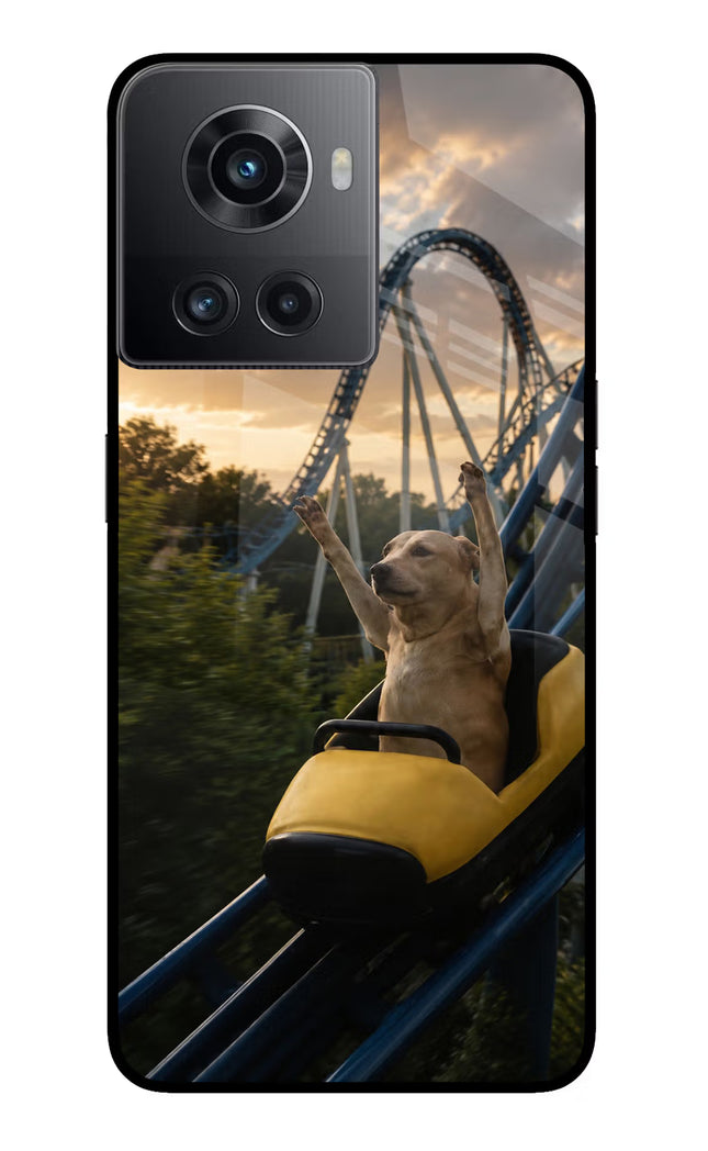 Rollercoaster Dog OnePlus 10R 5G Glass Case