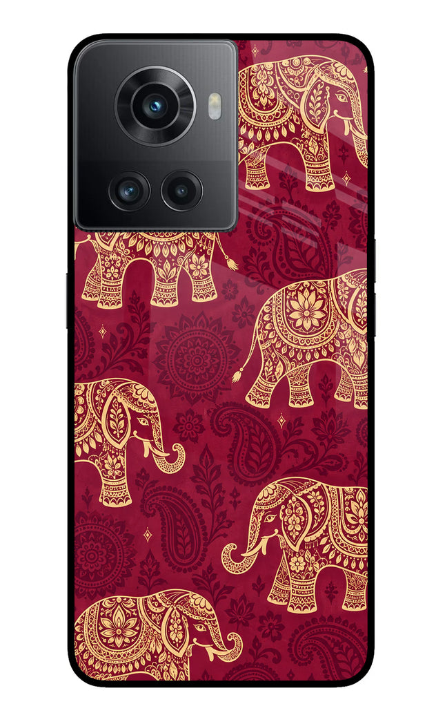 Maroon Elephant OnePlus 10R 5G Glass Case