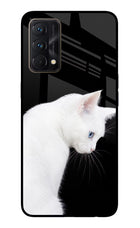 Snow Gaze Realme GT Master Edition Glass Case