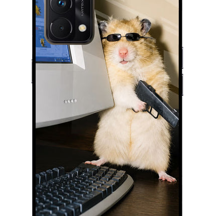 Hacker Hamster Realme GT Master Edition Glass Case