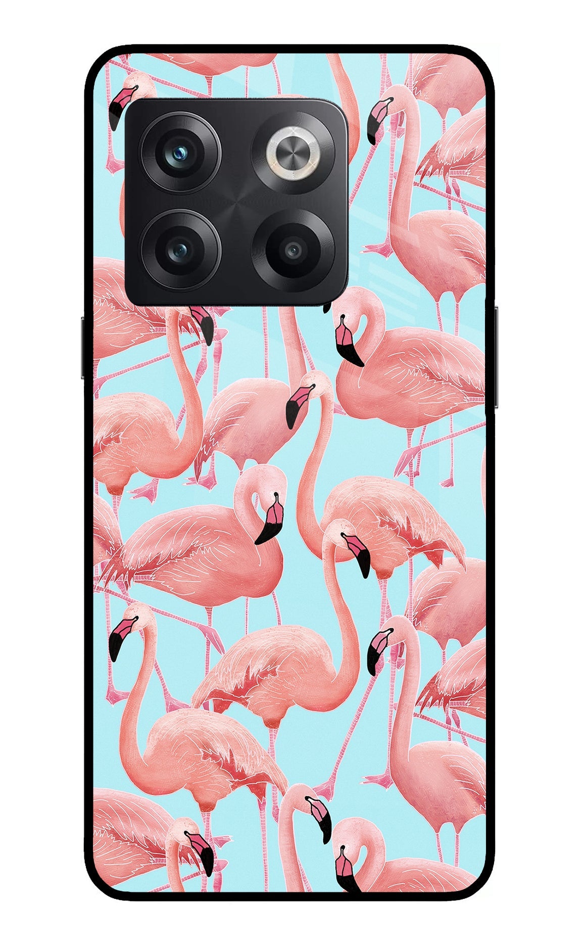 Flamboyance OnePlus 10T 5G Glass Case