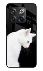 Snow Gaze OnePlus 10T 5G Glass Case