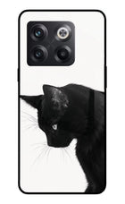 Shadow Gaze OnePlus 10T 5G Glass Case