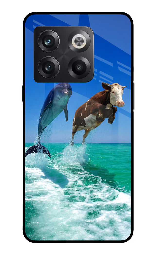 Dolphin vs Cow OnePlus 10T 5G Glass Case