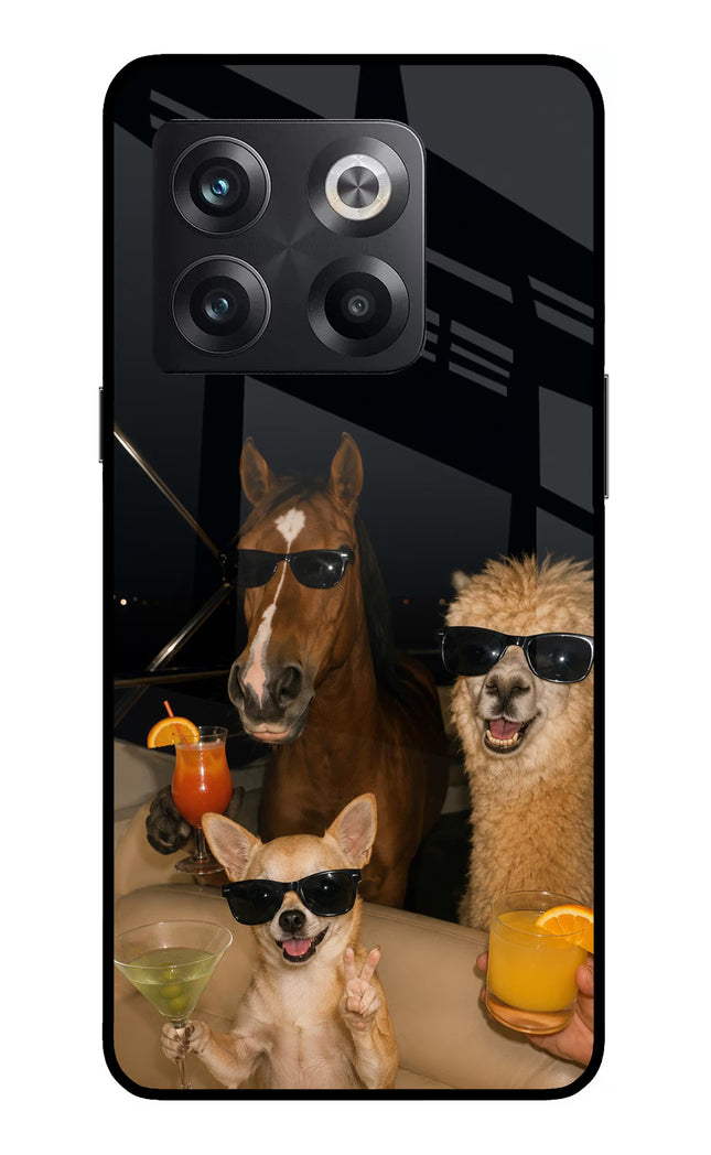 Party Squad OnePlus 10T 5G Glass Case