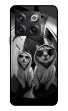 Hood Cats OnePlus 10T 5G Glass Case