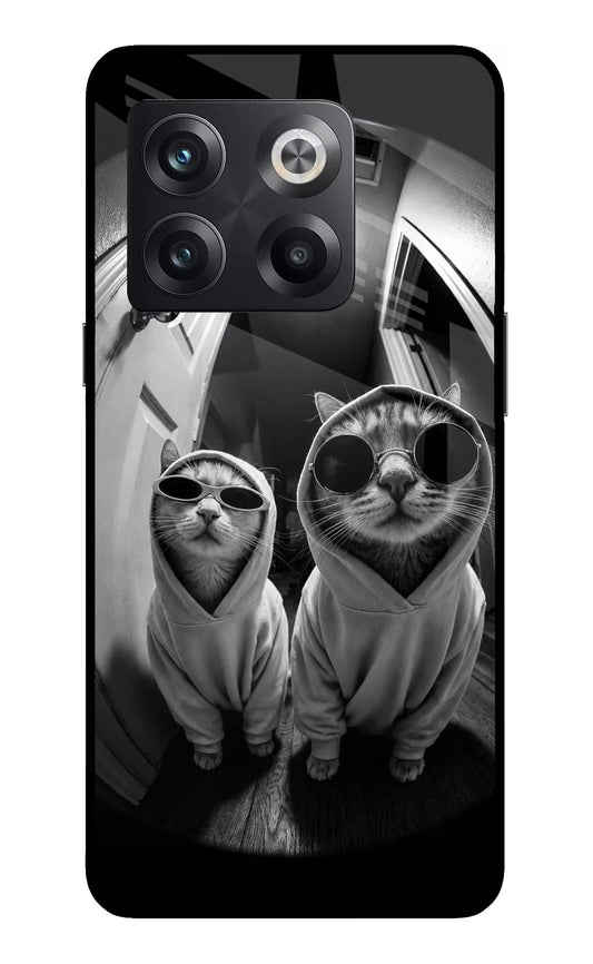Hood Cats OnePlus 10T 5G Glass Case