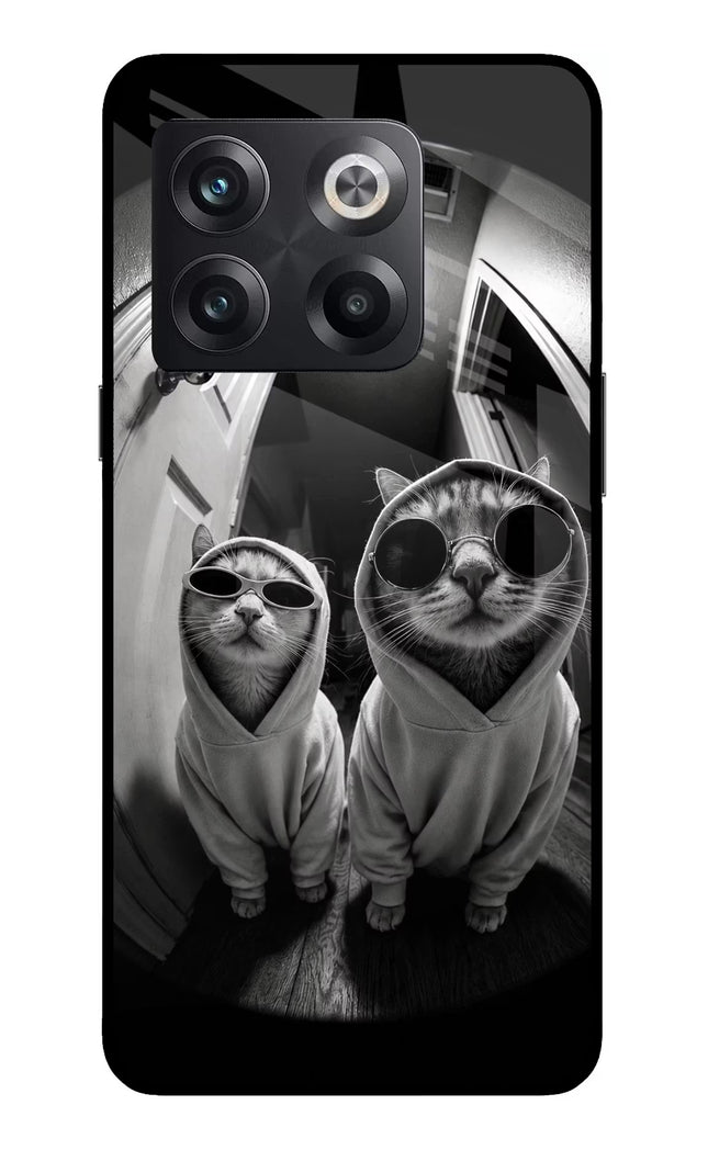 Hood Cats OnePlus 10T 5G Glass Case
