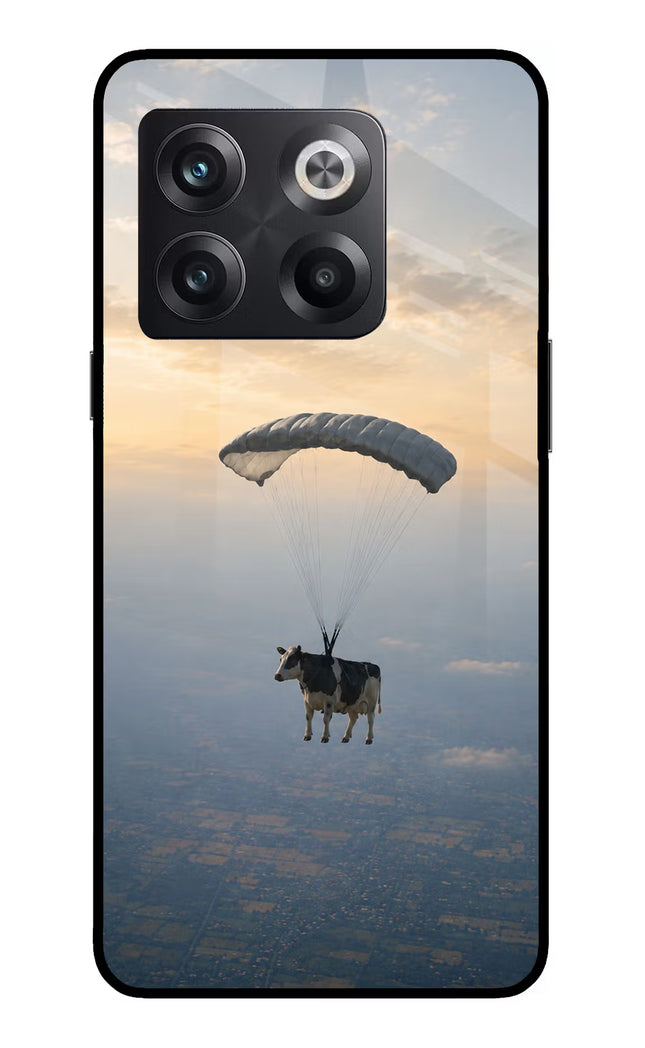Skydiving Cow OnePlus 10T 5G Glass Case