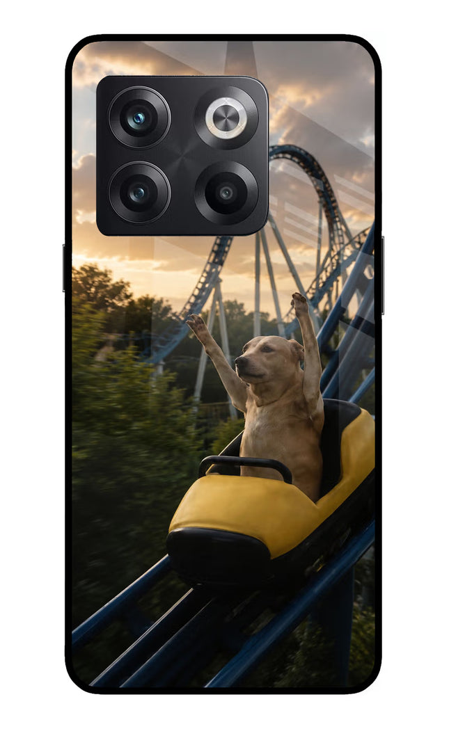 Rollercoaster Dog OnePlus 10T 5G Glass Case