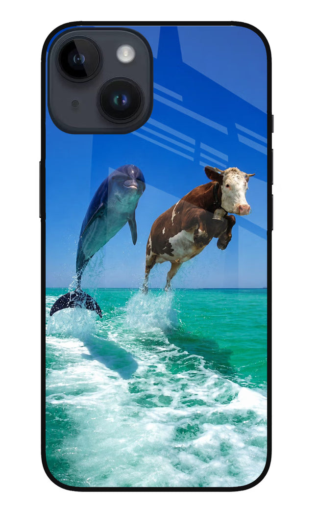 Dolphin vs Cow iPhone 14 Glass Case