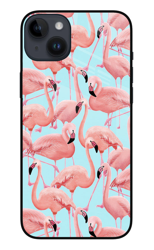 Flamboyance iPhone 14 Plus Glass Case