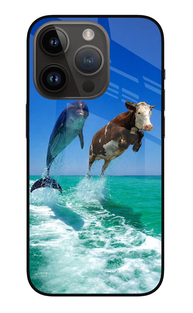 Dolphin vs Cow iPhone 14 Pro Glass Case