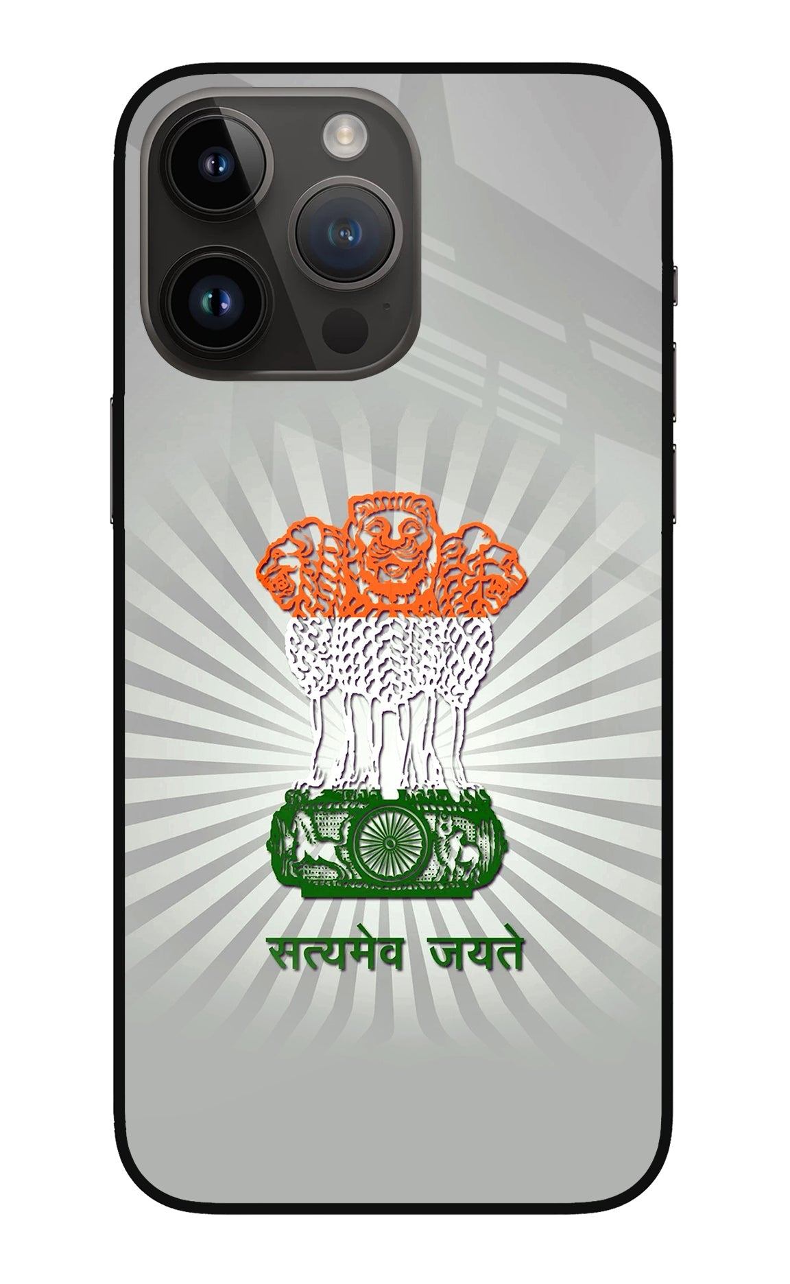 Satyamev Jayate Art iPhone 14 Pro Max Back Cover