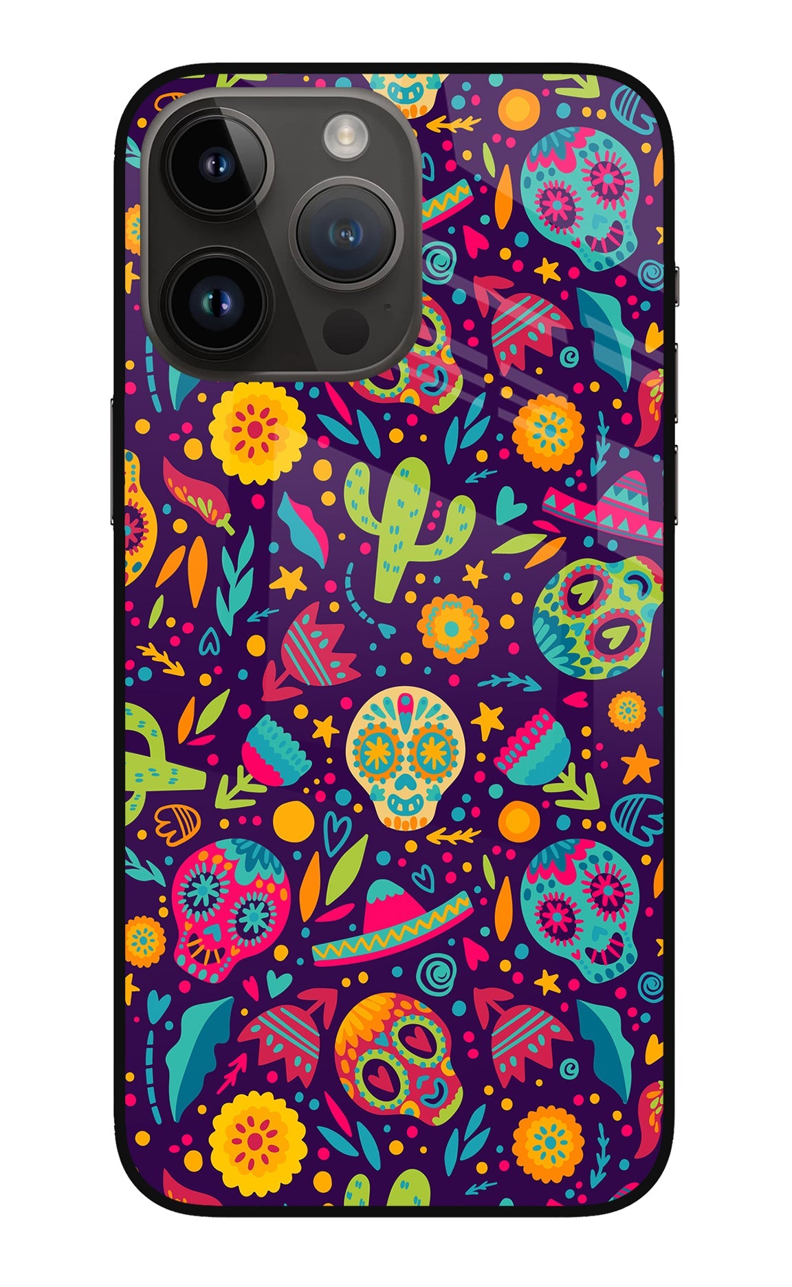 Mexican Design iPhone 14 Pro Max Back Cover