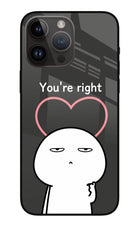 You're Right iPhone 14 Pro Max Glass Case
