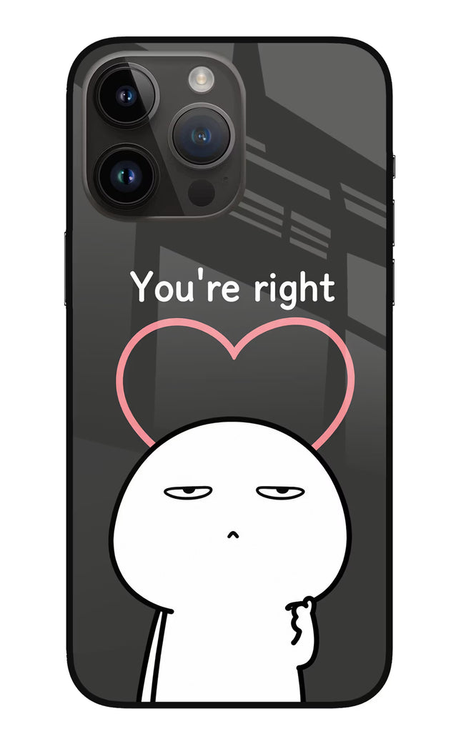 You're Right iPhone 14 Pro Max Glass Case
