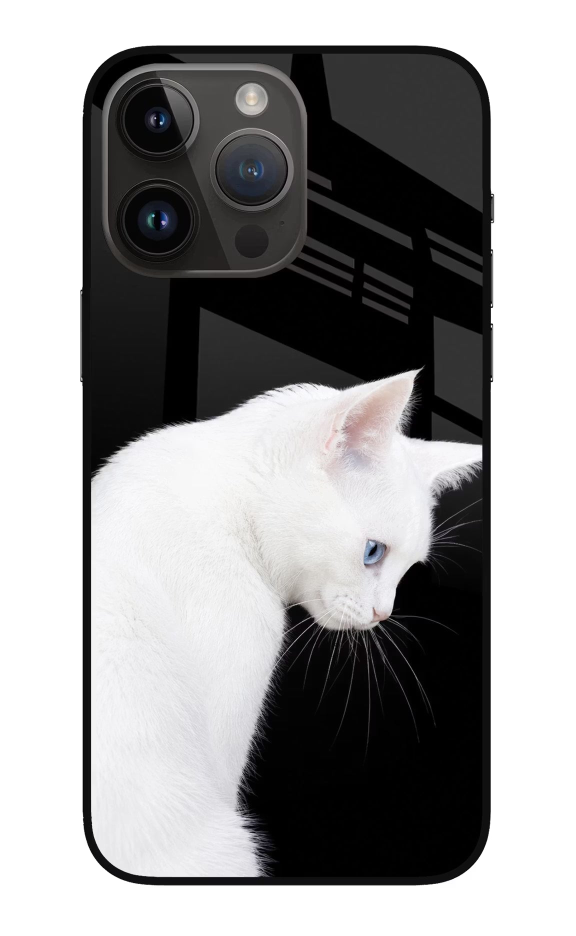 Snow Gaze iPhone 14 Pro Max Glass Case