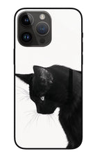 Shadow Gaze iPhone 14 Pro Max Glass Case