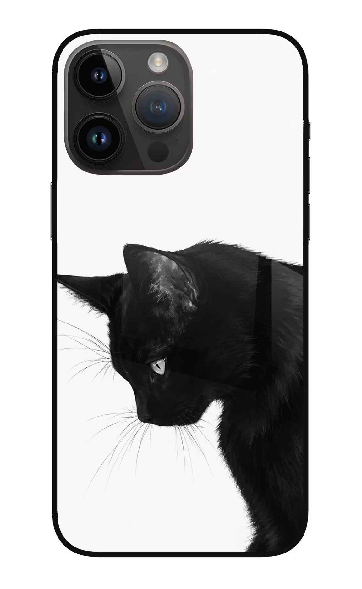 Shadow Gaze iPhone 14 Pro Max Glass Case