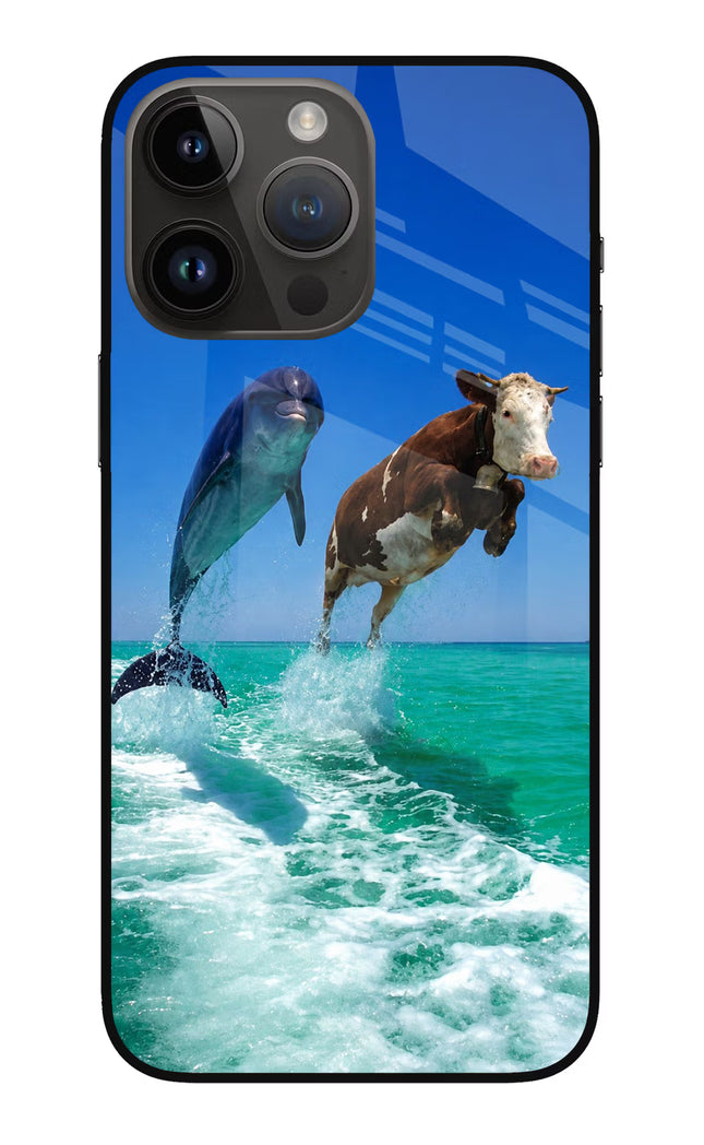 Dolphin vs Cow iPhone 14 Pro Max Glass Case
