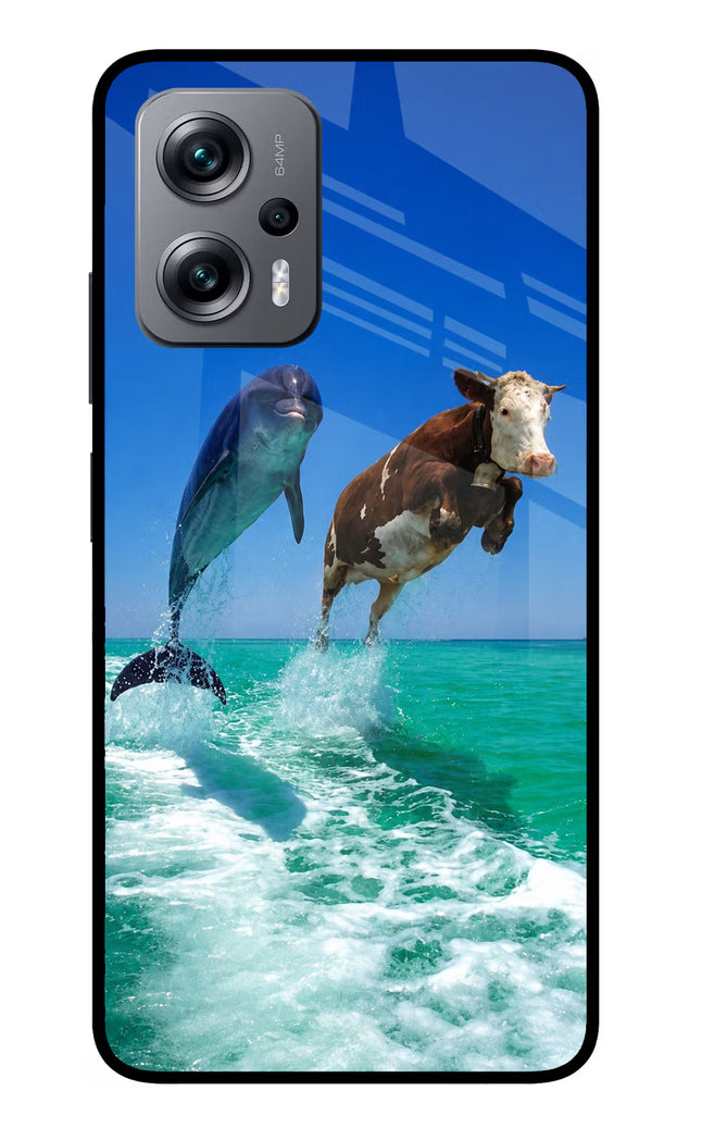 Dolphin vs Cow Redmi K50i Glass Case