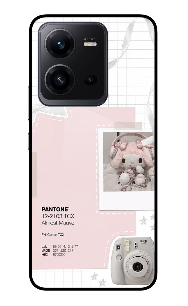 Pantone Asthetic Vivo V25 5G Glass Case