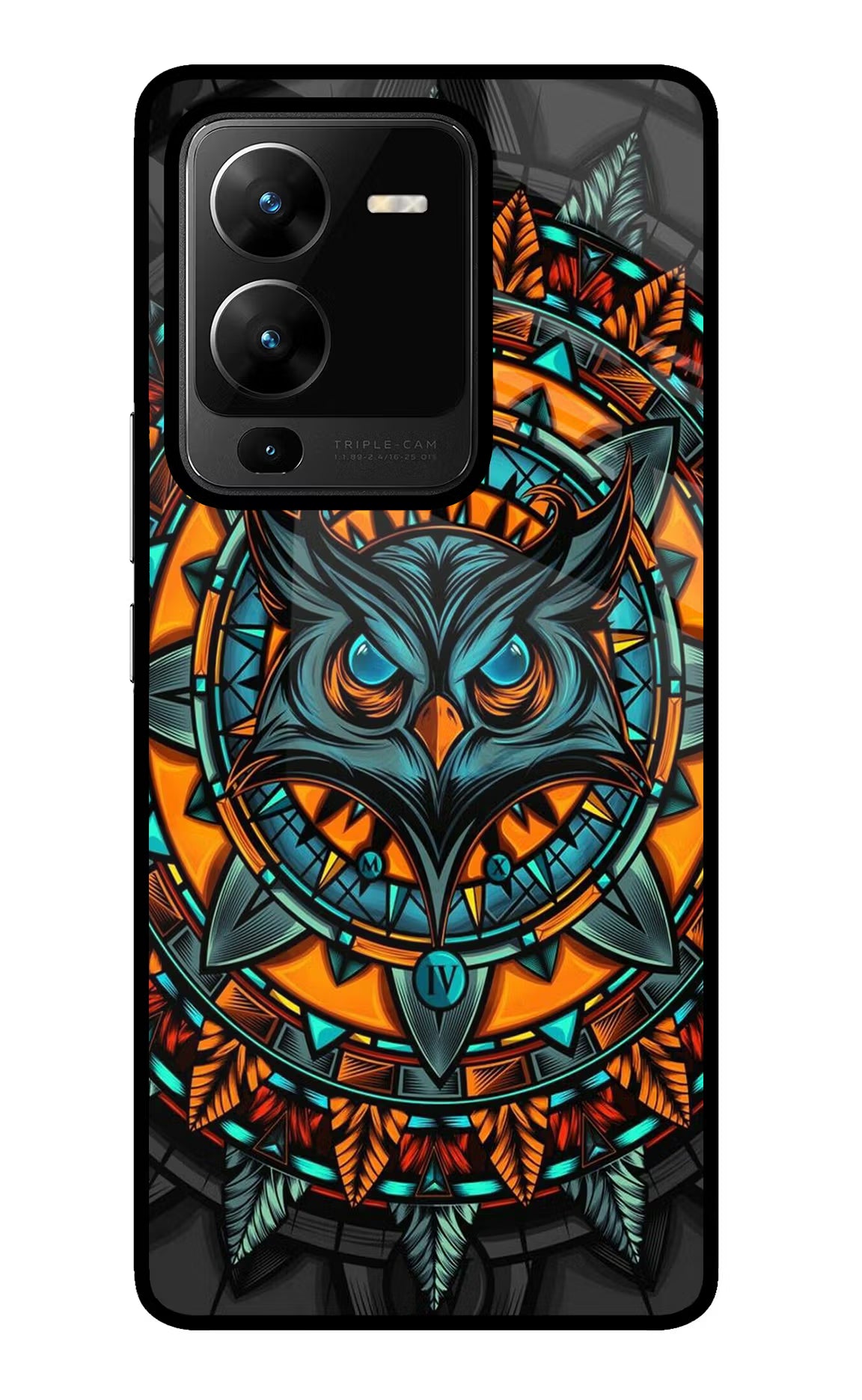 Angry Owl Art Vivo V25 Pro 5G Glass Case