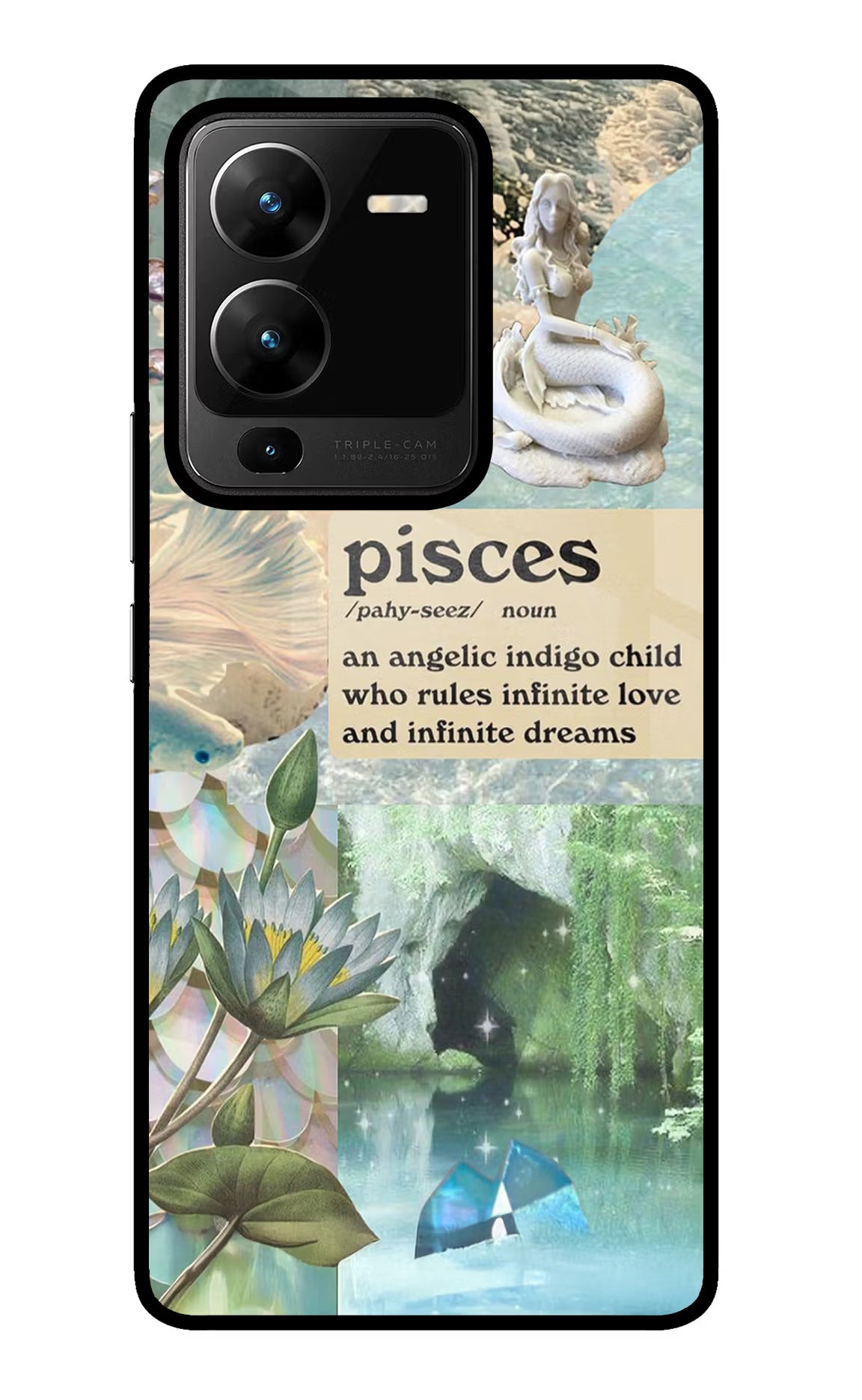 Pisces Zodiac Vivo V25 Pro 5G Glass Case
