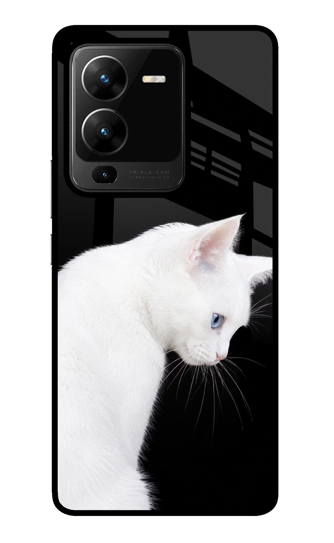 Snow Gaze Vivo V25 Pro 5G Glass Case