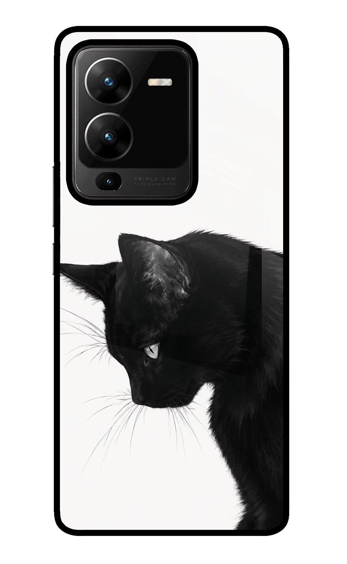 Shadow Gaze Vivo V25 Pro 5G Glass Case