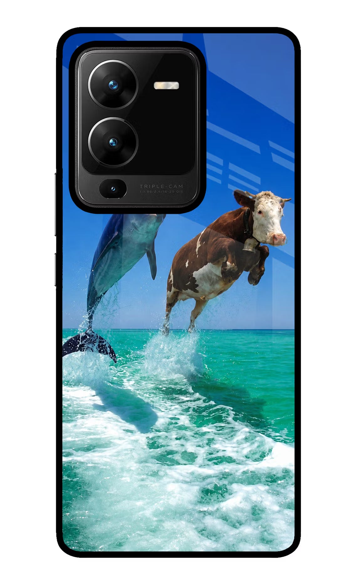 Dolphin vs Cow Vivo V25 Pro 5G Glass Case