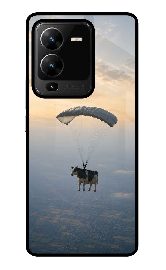 Skydiving Cow Vivo V25 Pro 5G Glass Case