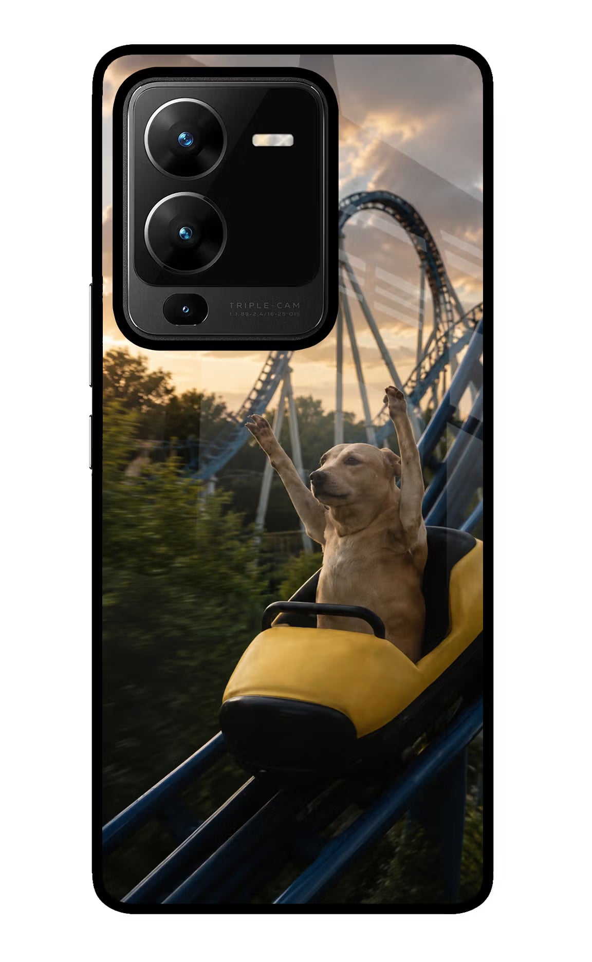 Rollercoaster Dog Vivo V25 Pro 5G Glass Case