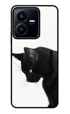 Shadow Gaze Vivo Y22 Glass Case