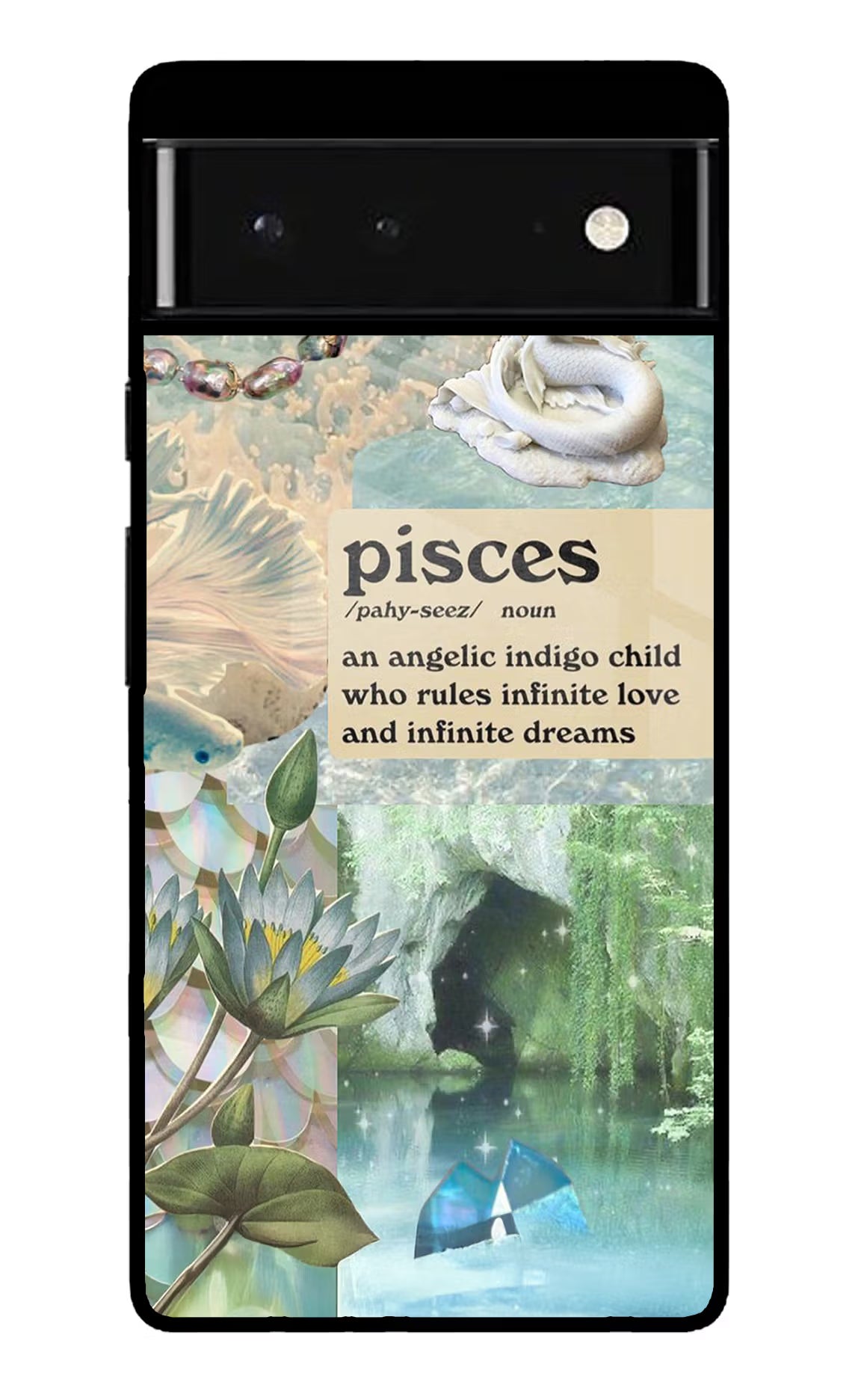 Pisces Zodiac Google Pixel 6 Glass Case Back Cover by Casekaro