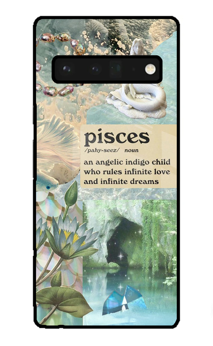Pisces Zodiac Google Pixel 6 Pro Back Cover, Glass case
