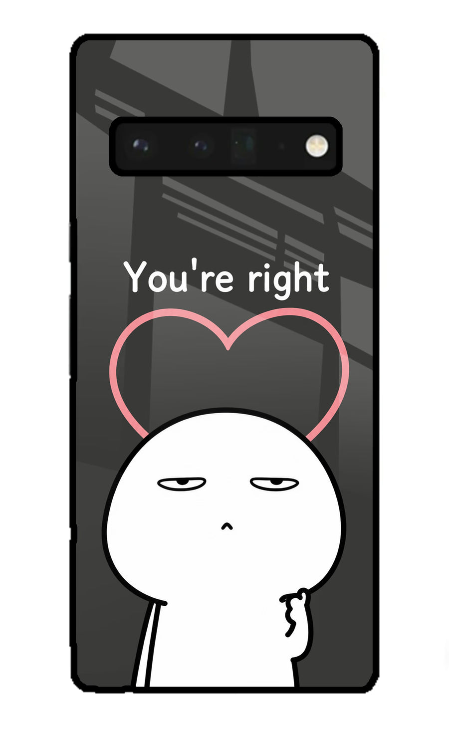 You're Right Google Pixel 6 Pro Back Cover, Glass case