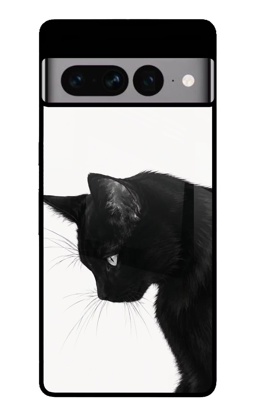 Shadow Gaze Google Pixel 7 Pro Back Cover, Glass case
