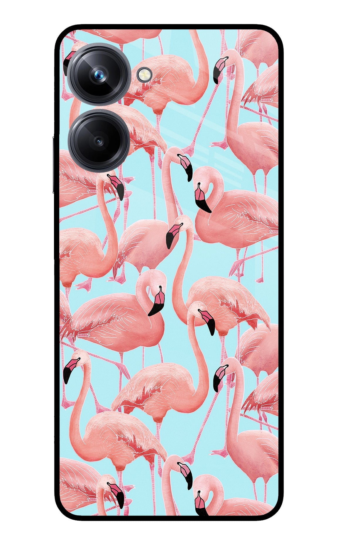 Flamboyance Realme 10 Pro 5G Back Cover