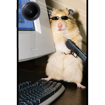Hacker Hamster Realme 10 Pro 5G Glass Case