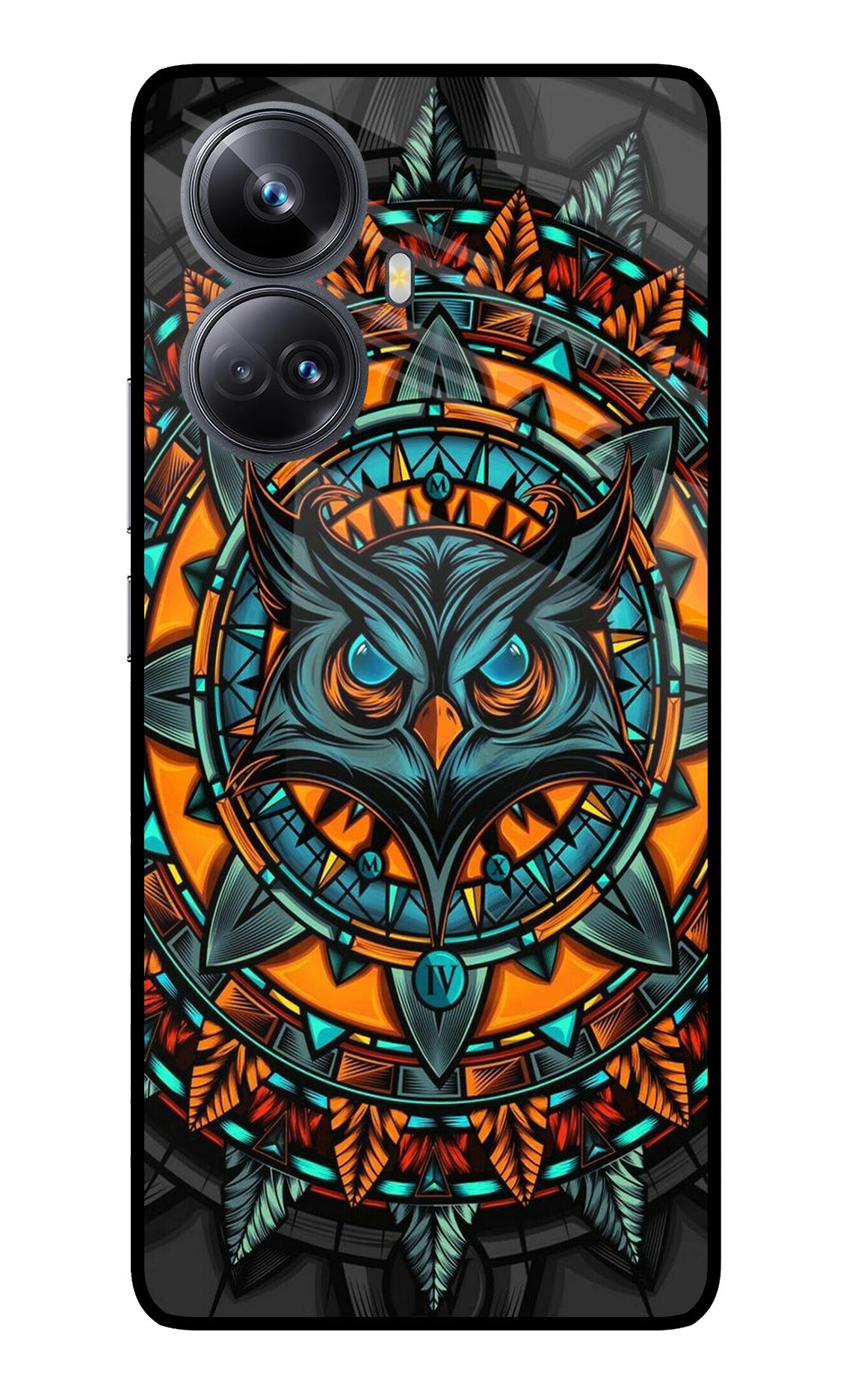 Angry Owl Art Realme 10 Pro+ 5G Back Cover