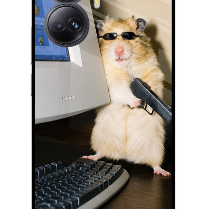 Hacker Hamster Realme 10 Pro+ 5G Glass Case