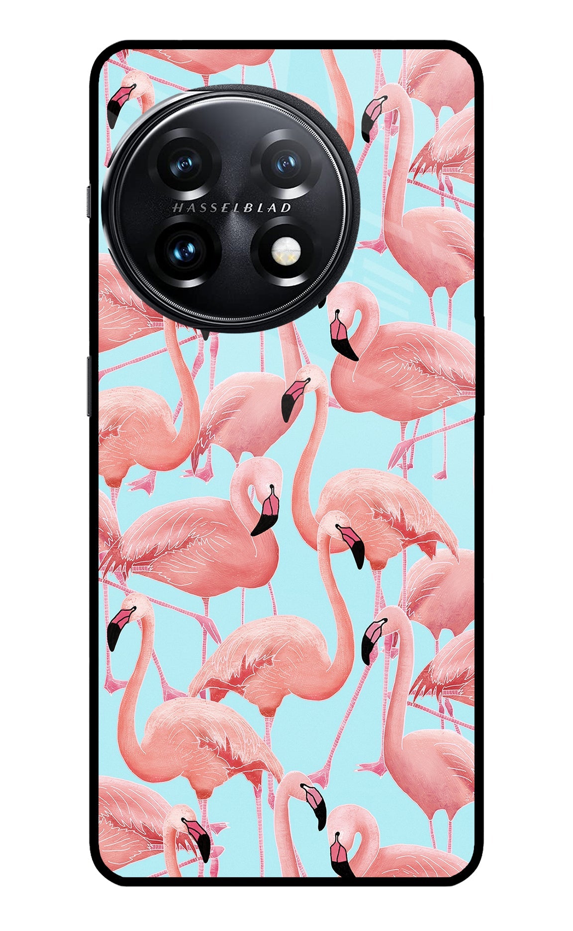 Flamboyance OnePlus 11 5G Glass Case