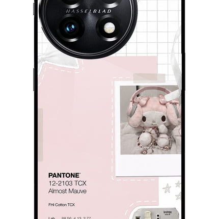 Pantone Asthetic OnePlus 11 5G Glass Case