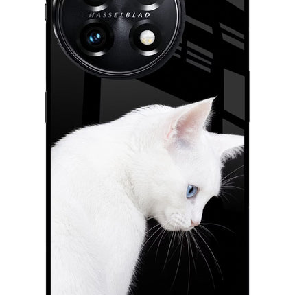 Snow Gaze OnePlus 11 5G Glass Case