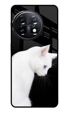 Snow Gaze OnePlus 11 5G Glass Case